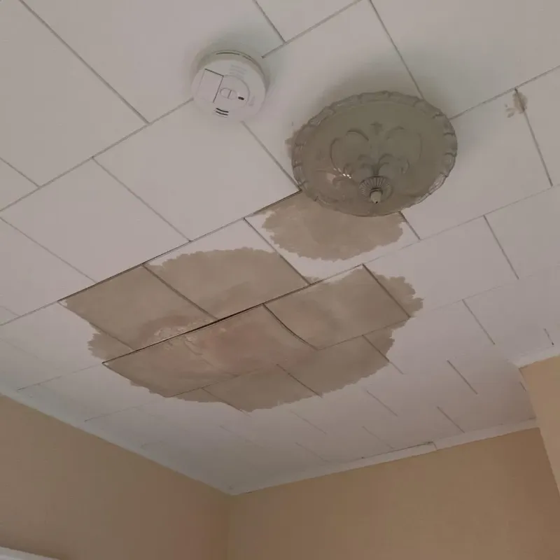 Ceiling Water Damage Repair in Coalgate, OK