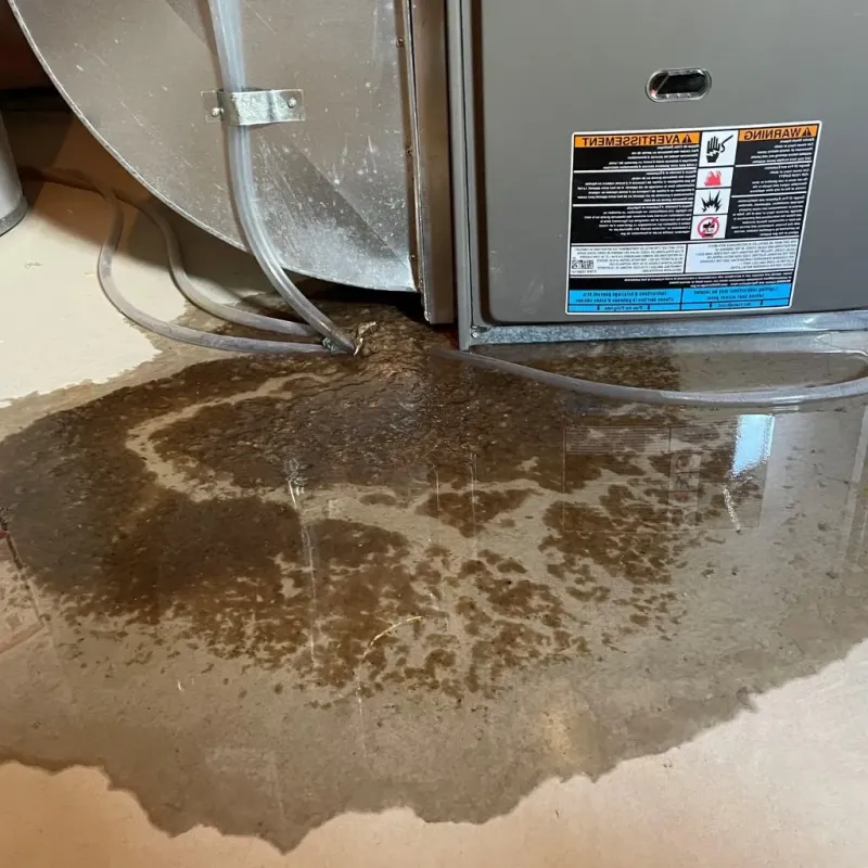 Pipe Burst and Leak Restoration in Coalgate, OK