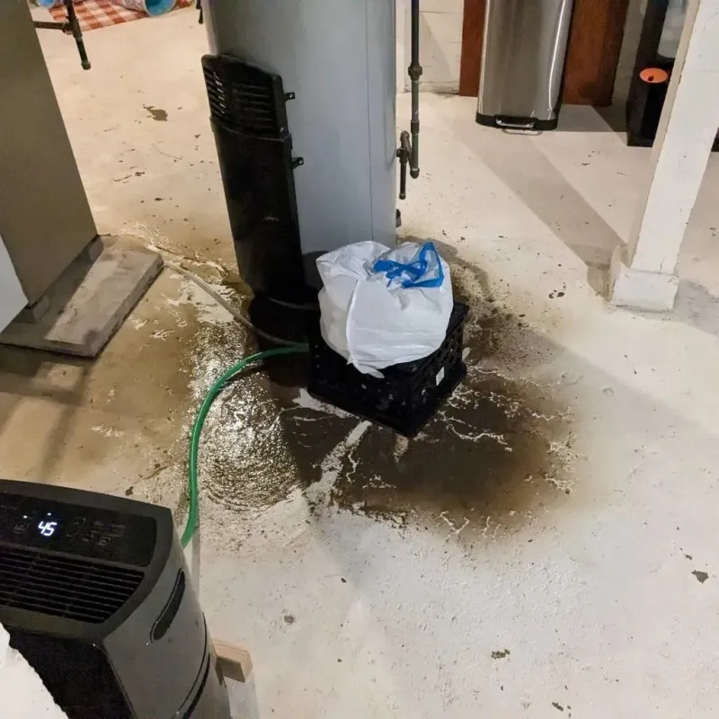 Sewage Backup Cleanup Service in Coalgate, OK